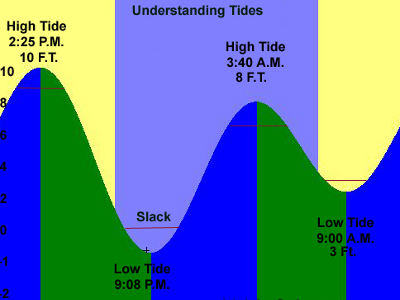 River Tide Chart